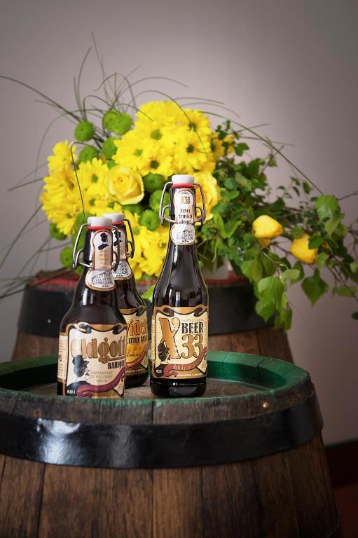 U Medvidku-brewery Hotel Praga